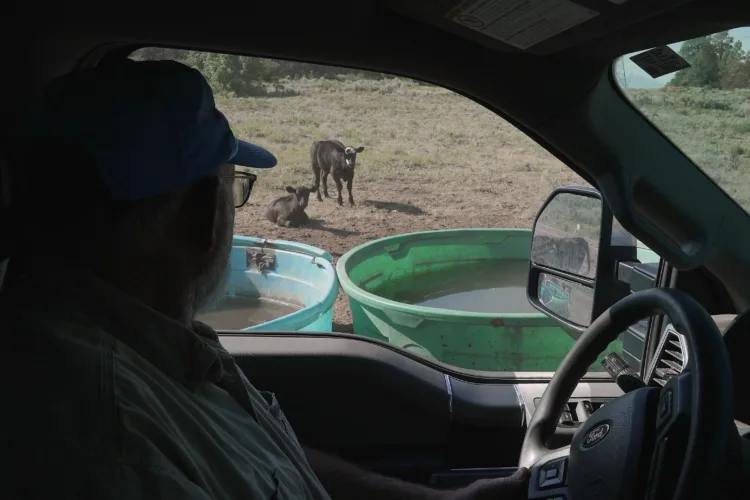 Water hauling is the new chore no rancher asked for